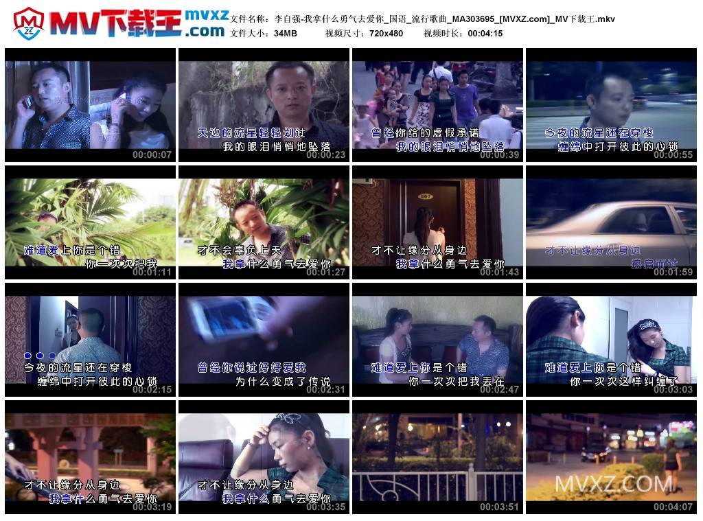 李自强-我拿什么勇气去爱你_国语_流行歌曲_MA303695